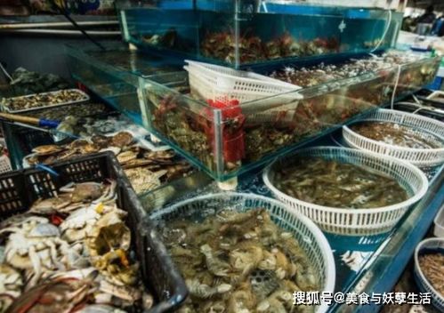 龍蝦情深 中非情誼跨越海陸的暖心買賣